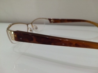 傑作眼鏡大全 GF6009鼈甲BUFF テンプル1.JPG